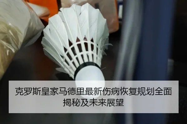 克罗斯皇家马德里最新伤病恢复规划全面揭秘及未来展望